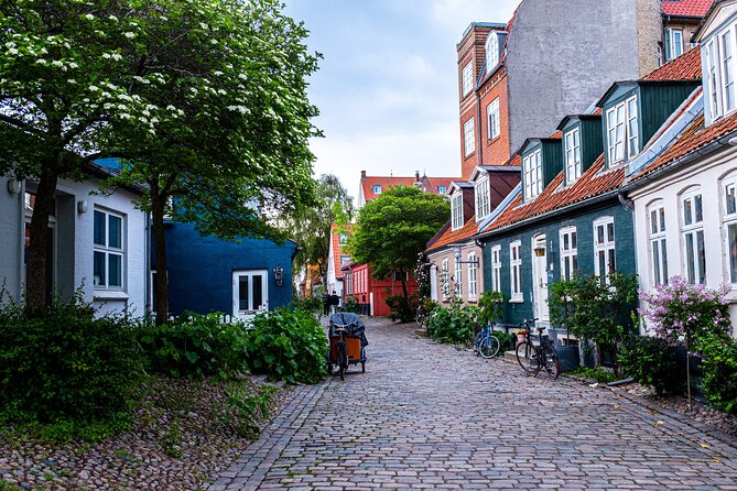 Aarhus Private Walking Tour with a Local - Pace, weather, and practical comfort
