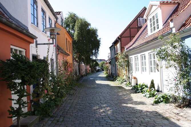 Aarhus Walking Tour: Explore Top Sights & Hidden Gems - Møllestien, the prettiest short street