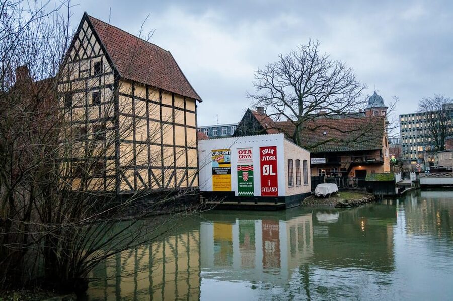 Aarhus Walking Tour: From Viking Village to Metropolis - From Viking village to modern Aarhus