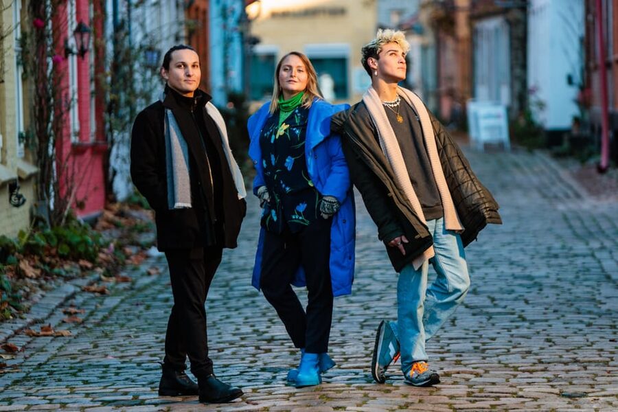 Aarhus Walking Tour: From Viking Village to Metropolis - Guide style and what can vary