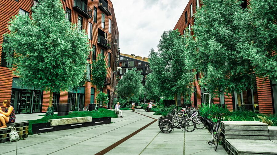 Copenhagen: 1.5-hour Private Walking Tour of Christianshavn - Canal views and the North Atlantic House
