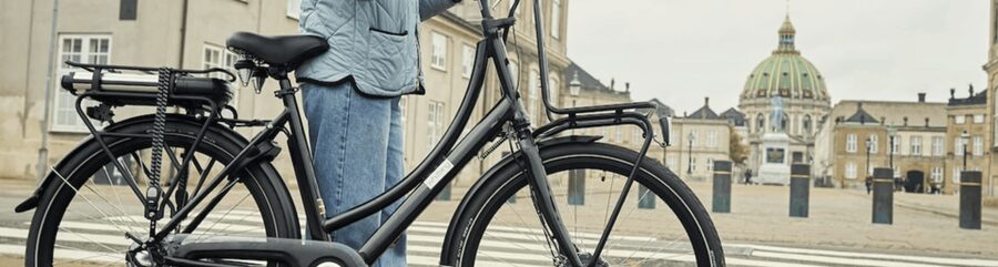 Copenhagen: 3 Hour Extended Grand E-Bike Guided Tour - Why an e-bike is a smart way to see Copenhagen