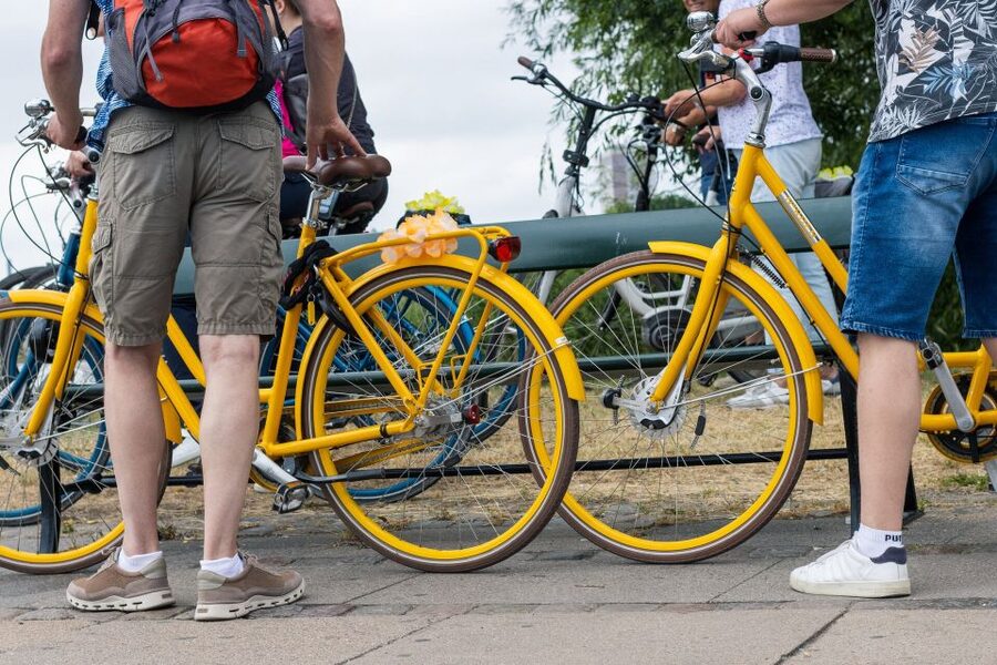 Copenhagen: 3 Hours Private Bike Tour with a local Guide - The Royal Library Garden and Black Diamond