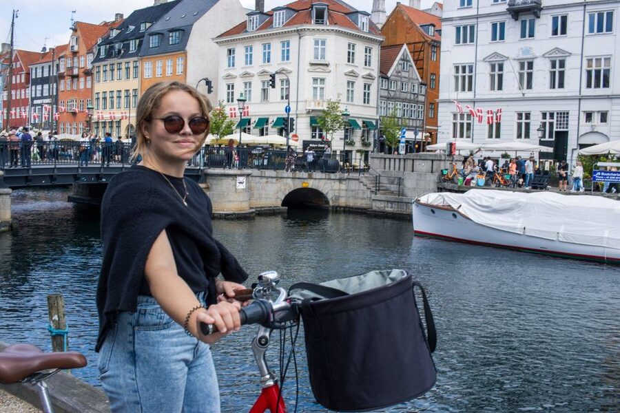 Copenhagen: 3 Hours Private Bike Tour with a local Guide - What the Private Guide Adds