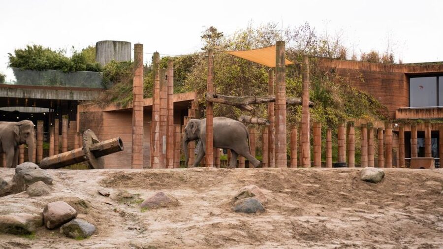 Copenhagen: City Card with 40+ Attractions & Hop-On/Off Bus - Copenhagen Zoo and Planetarium for families