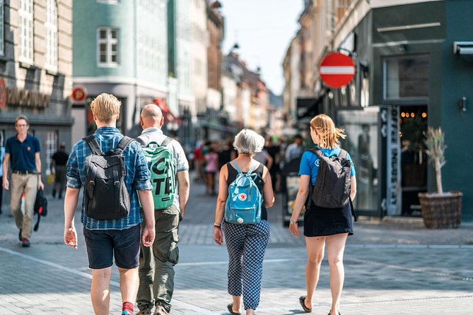 Copenhagen City Private Walking Tour - Crossing toward the Opera House and Amalienborg