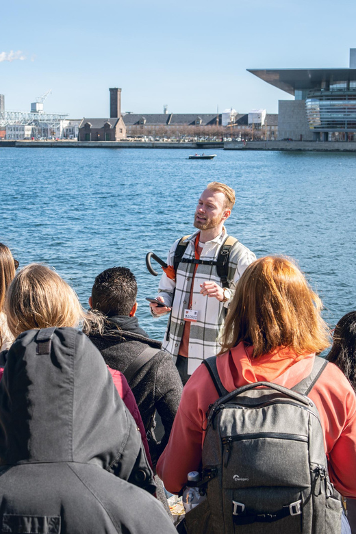 Copenhagen: Group Walking Tour - City Highlights - 2 Hours - Strøget, Magasin Du Nord, and Copenhagen today
