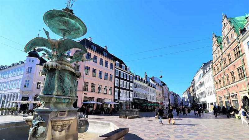 Copenhagen: Guided Bike Tour in French - Group size, pace, and physical demands