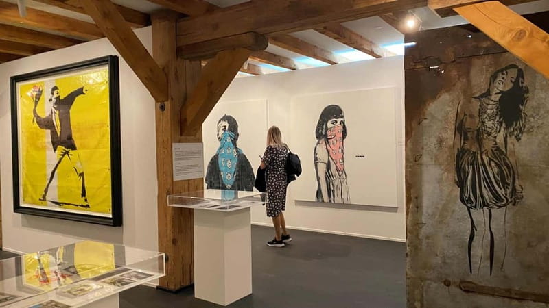 Copenhagen: MACA Art Museum Entry Ticket - Key points to know before you go