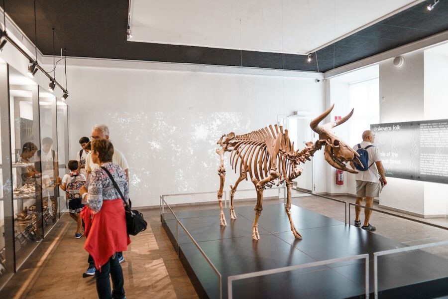 Copenhagen: National Museum of Denmark Entry Ticket - Bronze Age treasures that deserve your time