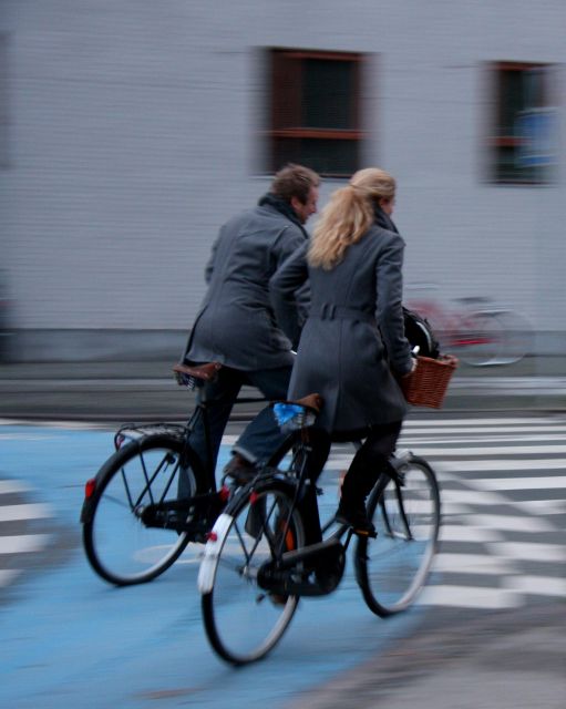 Copenhagen Private 3h biking tour - What the guide adds to three hours