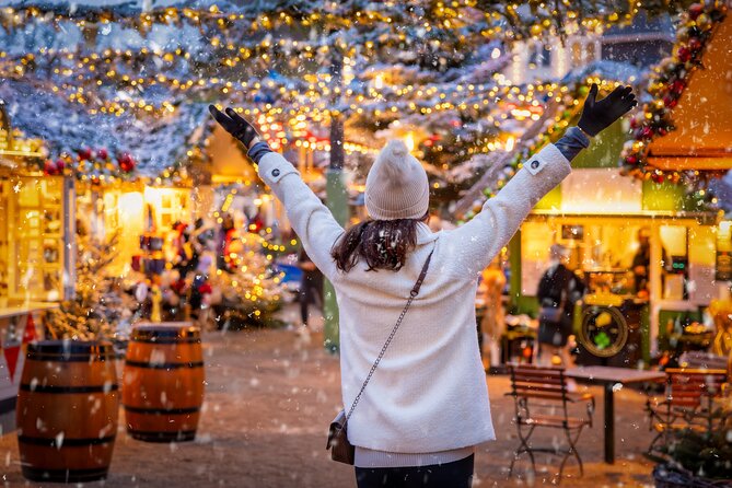 Copenhagen Private Christmas Walking Tour with Gløgg - Price, value, and who gets the best deal