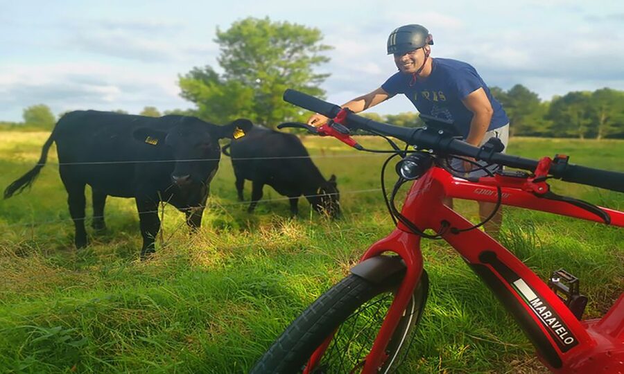 Copenhagen: Private Forgotten Giants E-Bike Treasure Hunt - Albertslund and the ride back