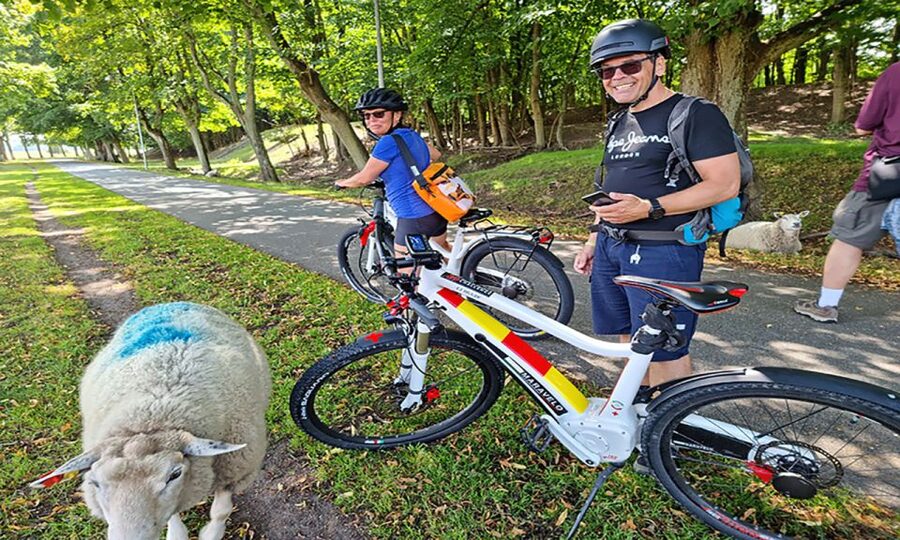 Copenhagen: Private Forgotten Giants E-Bike Treasure Hunt - Who will enjoy this experience most