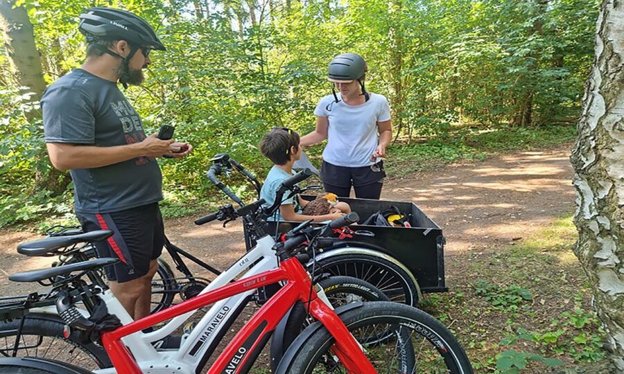 Copenhagen: Private Forgotten Giants E-Bike Treasure Hunt - The guide and the feel of the outing