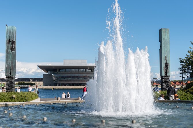 Copenhagen Private Full Day Tour with Lunch Option - What the $201.96 price gives you