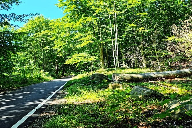 E Biking Adventure to Kronborg Castle - Key points to know