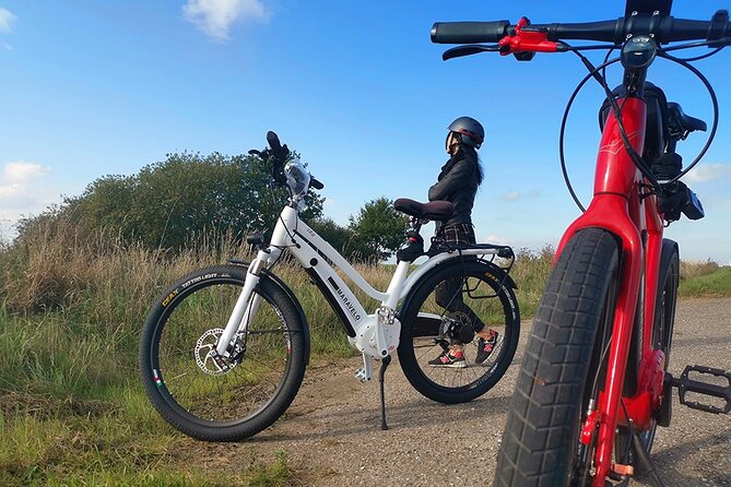 E-biking Northern Forgotten Giants' s Adventure - Four giants, one open-air treasure hunt