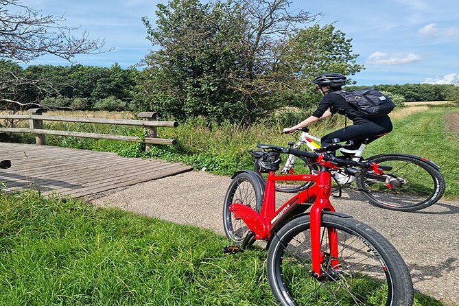 E-biking Northern Forgotten Giants' s Adventure - Teddy Friendly completes the quartet