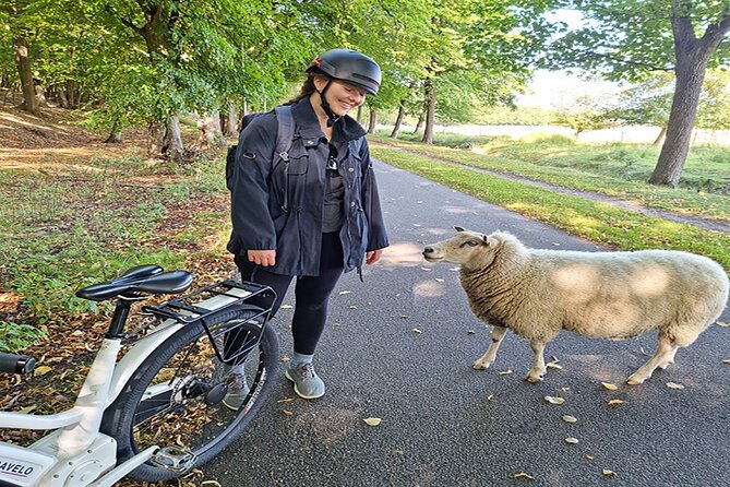E-biking Northern Forgotten Giants' s Adventure - Who will enjoy this ride most