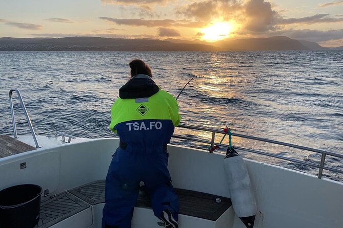 Fishing Experience in Faroe Islands - Bird cliffs and the storm petrel colony