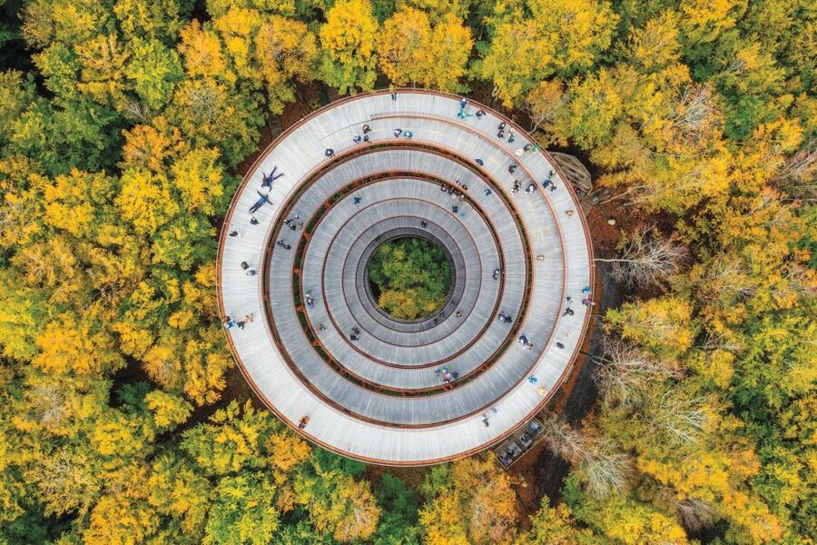 From Copenhagen: Round-Trip to Møns Klint and Forest Tower - Key points to know before booking