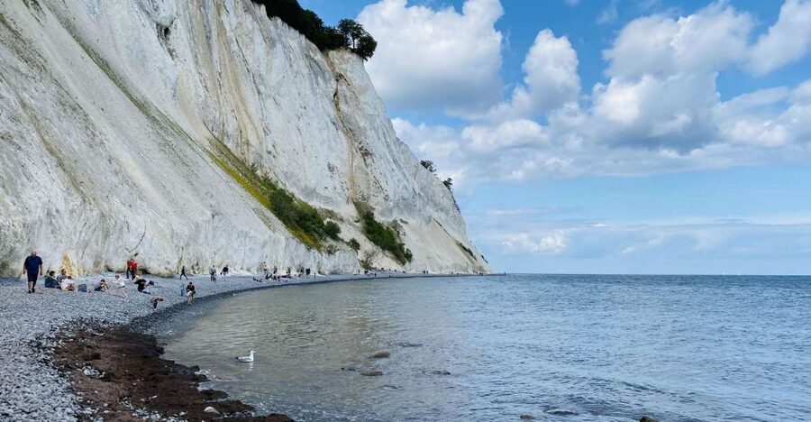 From Copenhagen: Round-Trip to Møns Klint and Forest Tower - Who should book this day trip?