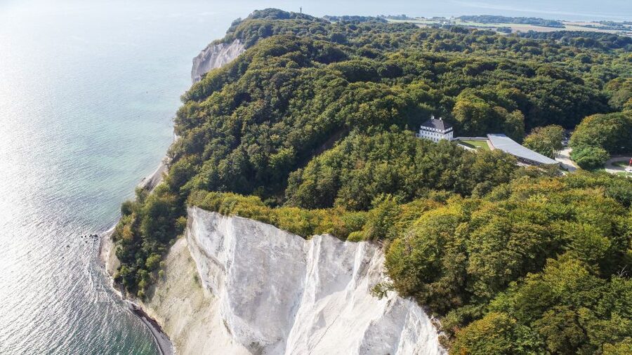 From Copenhagen: Round-Trip to Møns Klint and Forest Tower - Two big nature stops outside Copenhagen