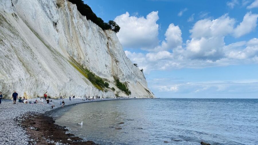From Copenhagen: Round-Trip to Møns Klint and Forest Tower - Møns Klint is worth the stairs