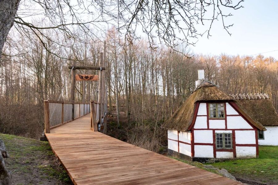 From Copenhagen: Round-Trip to Møns Klint and Forest Tower - What to bring for the cliffs and tower