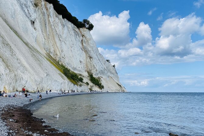 Møns klint and The Forest tower - A day tour from Copenhagen - Key points at a glance