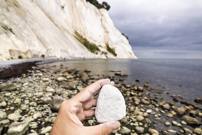 Møns klint and The Forest tower - A day tour from Copenhagen - Lunch at Café Møns Klint