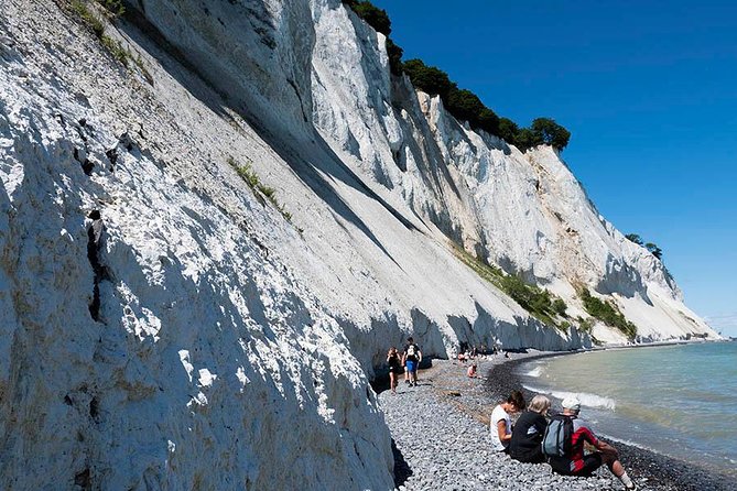 Møns klint and The Forest tower - A day tour from Copenhagen - The guide can shape the whole day