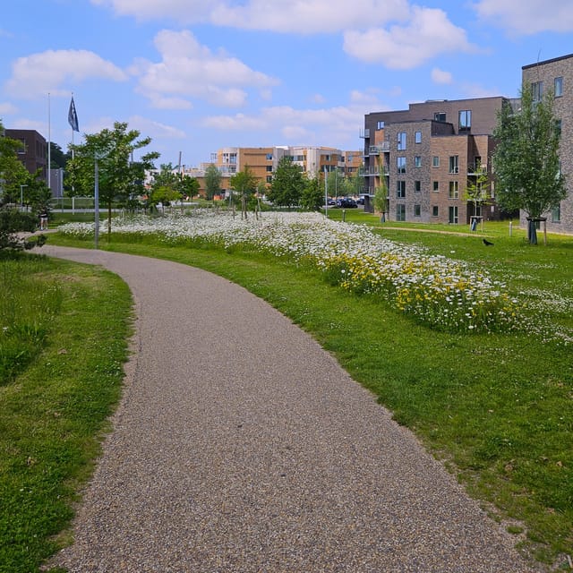 Odense: City walk - The new green Odense - City development - What the guide adds to the walk