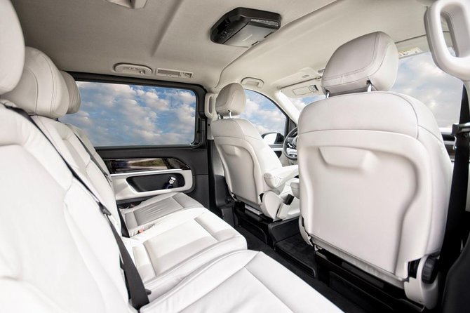 Private Luxury Van Departure from Copenhagen to Copenhagen Port - Details to check before you reserve