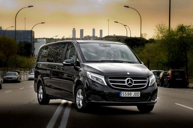 Private Luxury Van Departure from Copenhagen to Copenhagen Port - A short ride with limited sightseeing