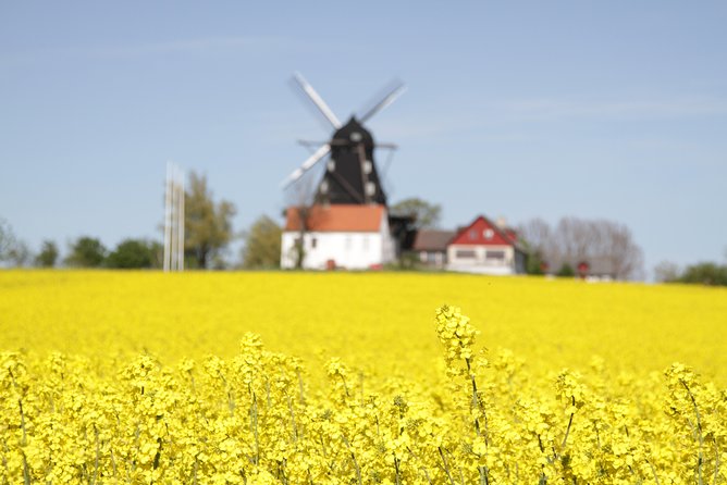 Private tour Copenhagen to Lund & Malmö City daytrip - Weather, cancellations, and small planning details