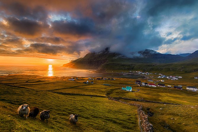 Súðuroy Island Day Tour, Faroe Islands - What the small group changes