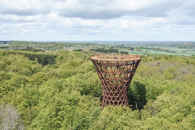 The Forest Tower and Forgotten Giants-A day tour from Copenhagen - What the minibus adds, and where it falls short